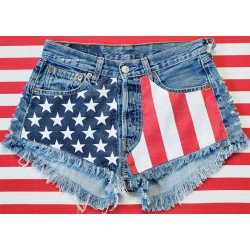 High waisted American Flag shorts Levis Roll up Cuffed Distressed Hipster Tumblr clothing