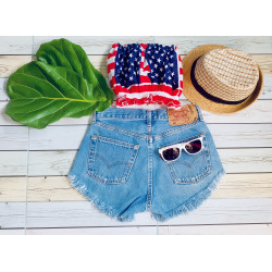 Vintage Levis ripped and american flag top combo