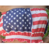 copy of american flag crop top